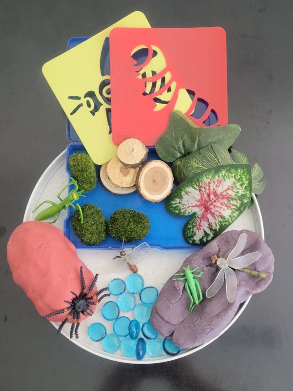 Sensory Kit:  Insects - Image 2