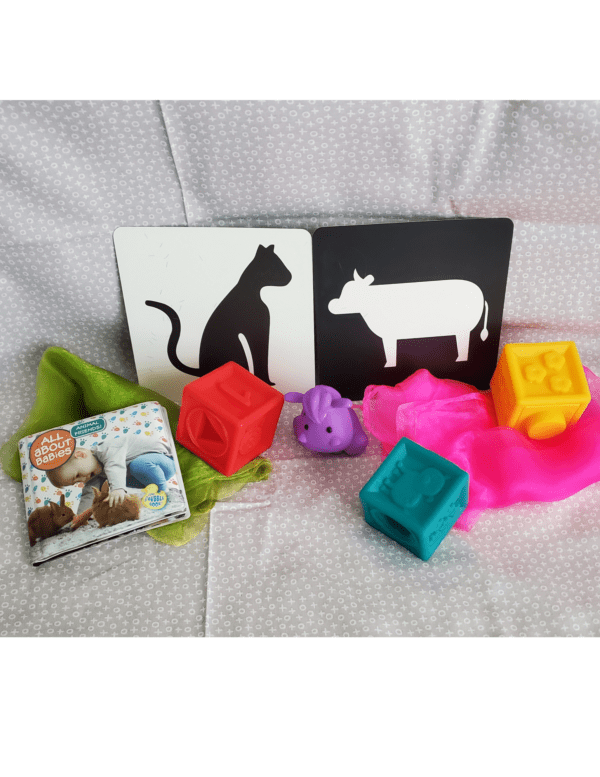 Infant/Toddler Sensory Kit